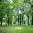 Dsc00568